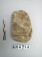 藏品(中型舌刃打製石斧)的圖片